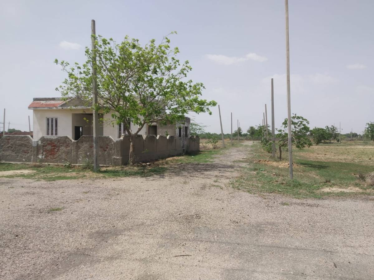 Urgent sale Jaipur prime location plots only 10500 rs square yard me 