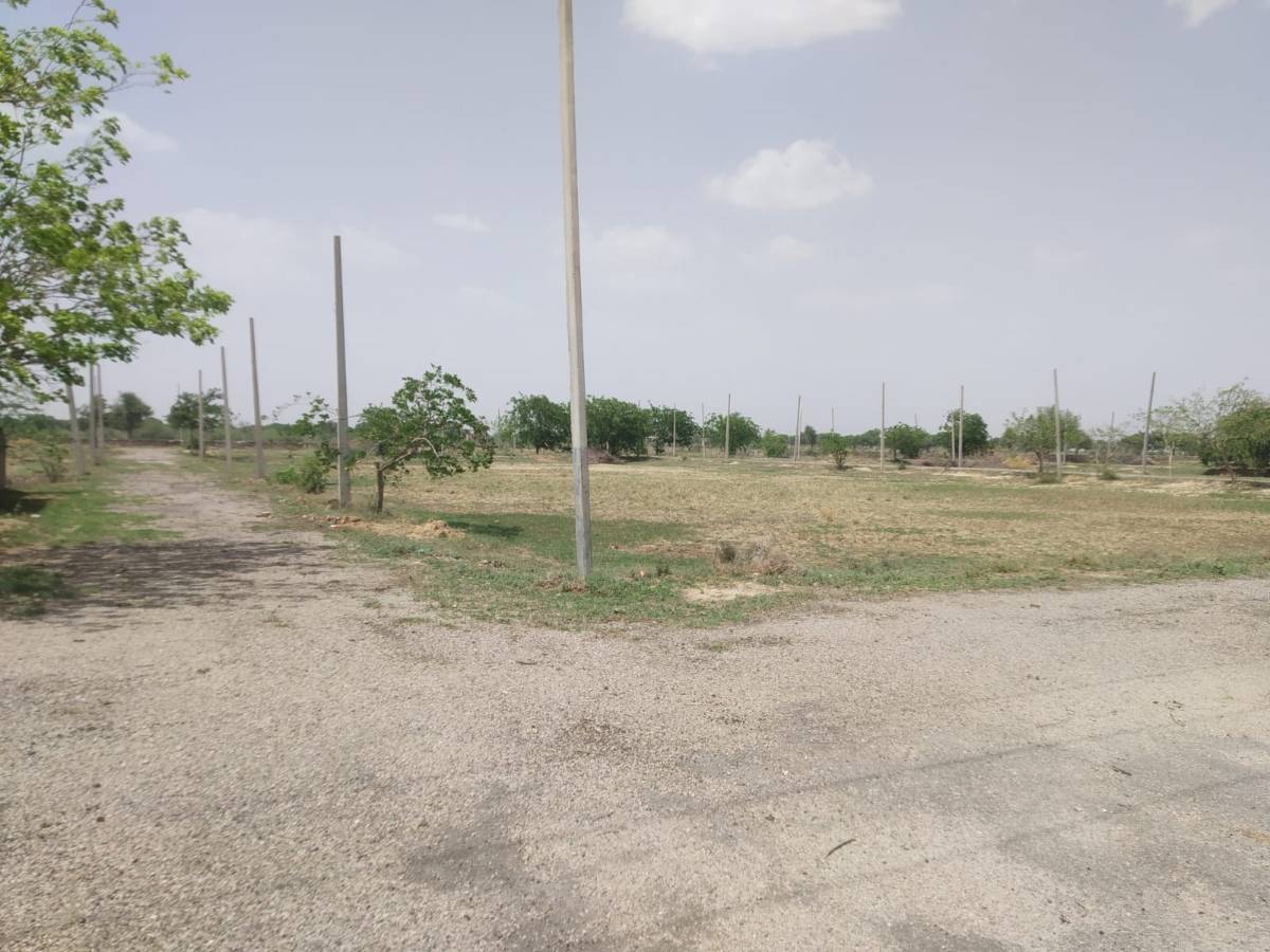 Urgent sale Jaipur prime location plots only 10500 rs square yard me 