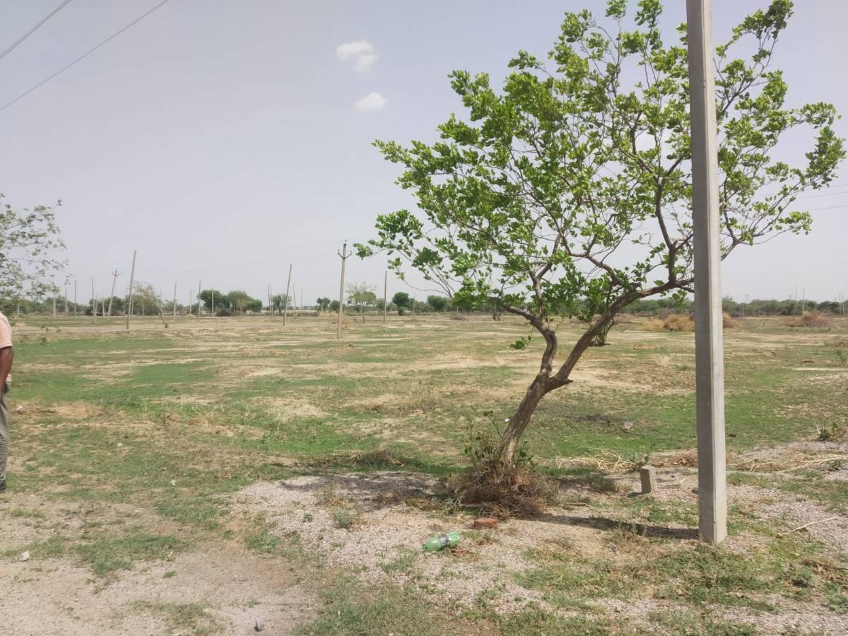 Urgent sale Jaipur prime location plots only 10500 rs square yard me 