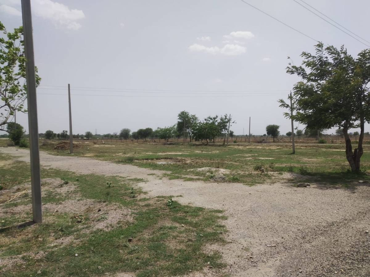 Urgent sale Jaipur prime location plots only 10500 rs square yard me 