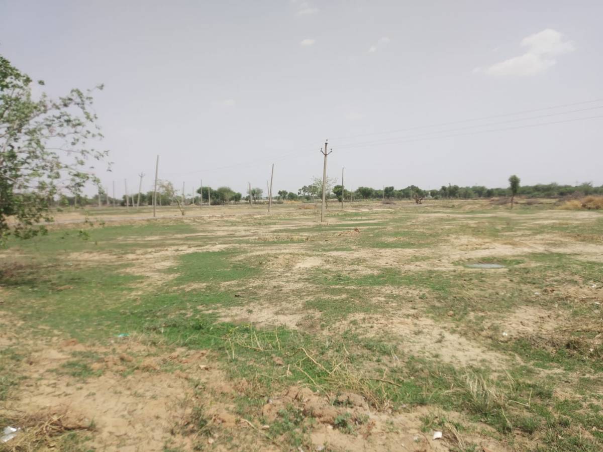 Urgent sale Jaipur prime location plots only 10500 rs square yard me 