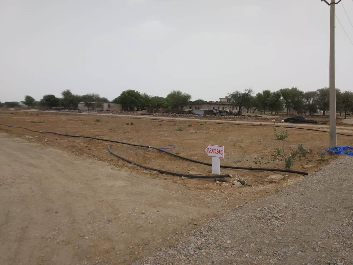 Urgent sale Jaipur prime location 100 square yard plot only 13 lakhs 