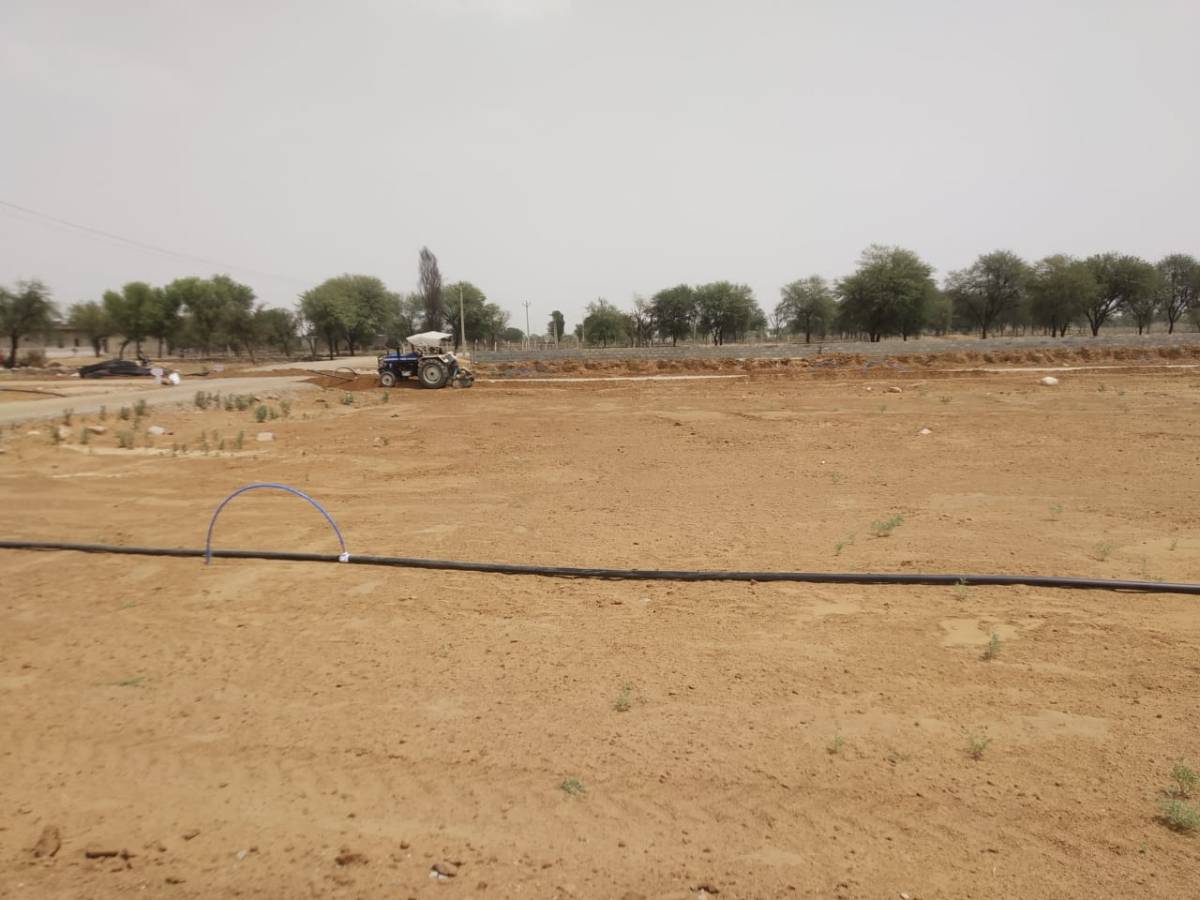 Urgent sale Jaipur prime location 100 square yard plot only 13 lakhs 