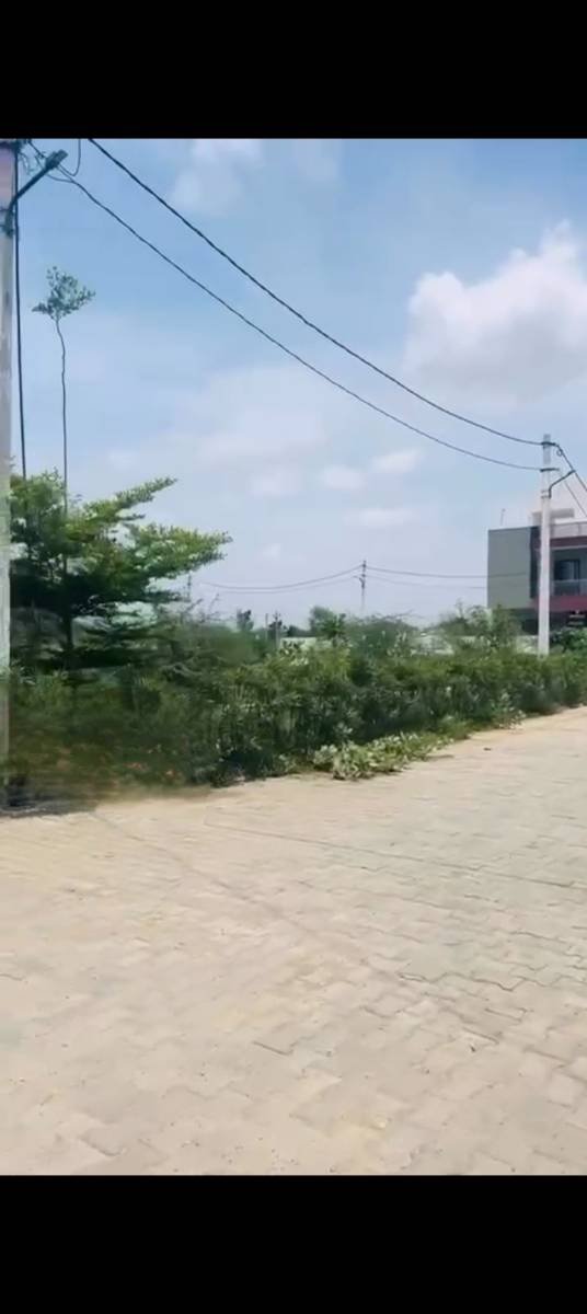 Balawala lakhna 200 feet road per plot available only only 25000 rs sq