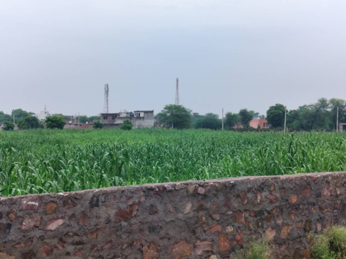 JDA Rera approved plots near Vatika Stadium 1 km from Vatika bus stand