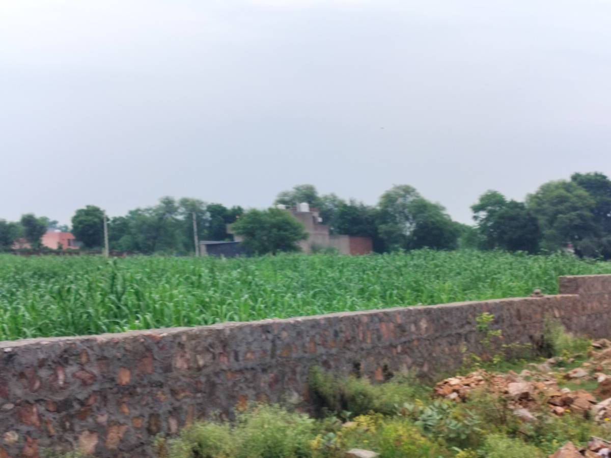 JDA Rera approved plots near Vatika Stadium 1 km from Vatika bus stand