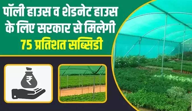 व्यावसायिक सपनों की उड़ान